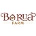 Bó Rua Farm (@BoRuaFarm) Twitter profile photo