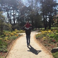 🐘 (@ripisylve) 's Twitter Profile Photo 🐘 (@ripisylve) 's Twitter Profile Photo