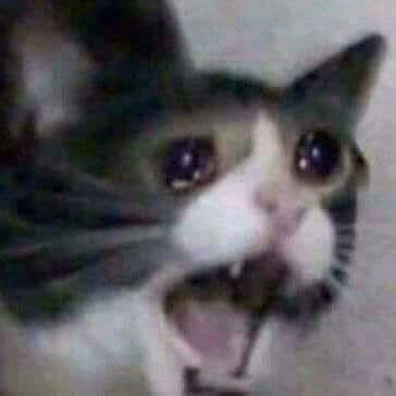 sadboissKL's profile picture. B R U H