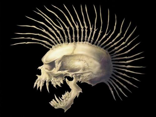 iskandaa's profile picture. 