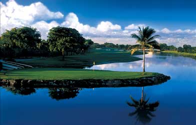 chipstal's profile picture. 