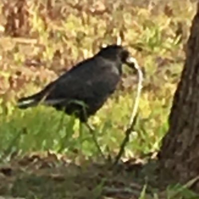 涼さんのプロフィール画像