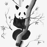 子非魚 (@ulqhkm403rsizf9) Twitter profile photo