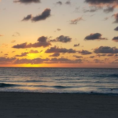 lizzypohlmann's profile picture. 