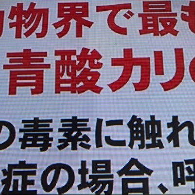 生ハム兄貴 Jojo Twitter 生ハム兄貴 Jojo Twitter