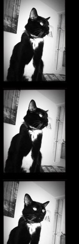 missdirect's profile picture. 