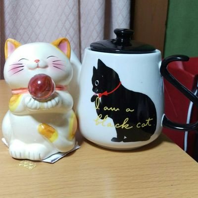 @GUQbJgN6eyvGep1
猫の名前は真凛・紫苑永眠。本猫は元気です。
民主主義を大切にしない政権にうんざりしています。
支持政党日本共産党とれいわ新選組。
言論統制真っ只中の日本で本当の事は言えなくなった。職場迄迷惑をかけてしまうので政治の事はあまり呟きません。
#肉球新党