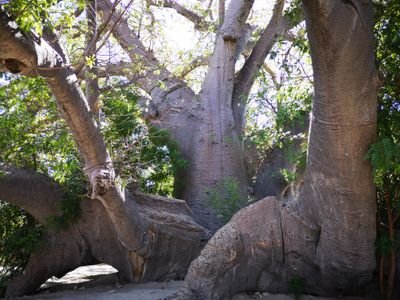 jollyoshi1's profile picture. アフリカ ナミビア 協力隊
開発 教育