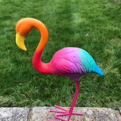 SharplesMrs's profile picture. 