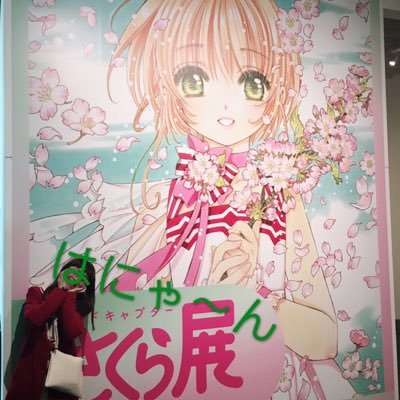 sakura79623's profile picture. 