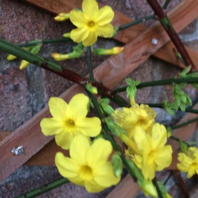 egolanding's profile picture. Life is what you make it