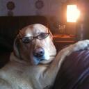 amanda aitken - @meck8ken - Twitter