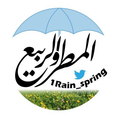 1Rain_spring Profile Picture