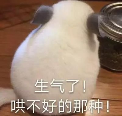 不善言辞 不善交际 的愚者 
Corruption综合征患者