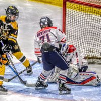 Chad Recker (@chadrecker) 's Twitter Profile