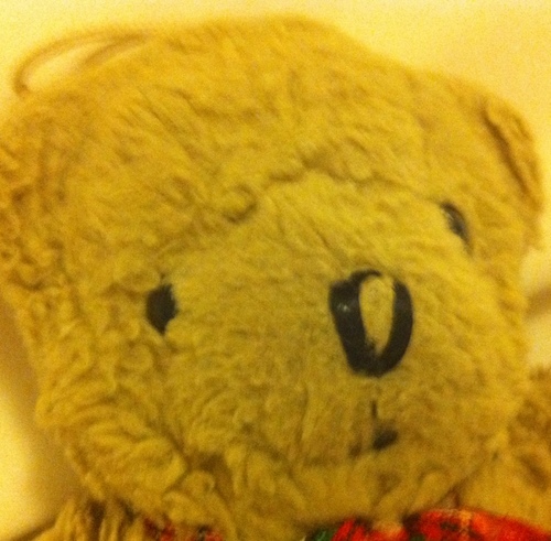 Flowerrfc's profile picture. くまずき