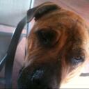 Ross Jacobson - @thedon06 - Twitter