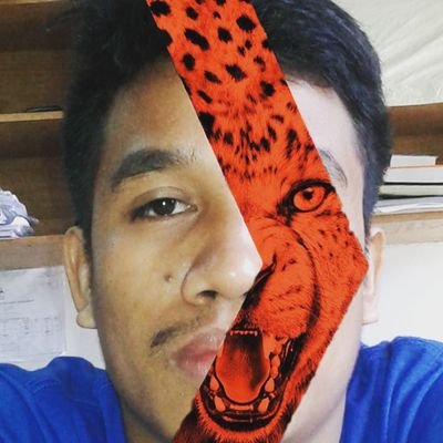 ximenesevang's profile picture. 