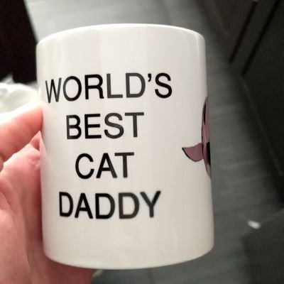 brandonmp44's profile picture. pm & web engineer