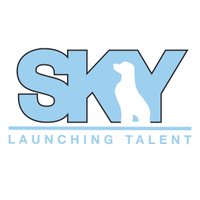 SKY Services(@launchingtalent) 's Twitter Profile Photo