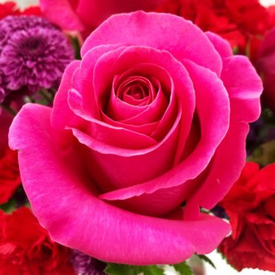 sashastarbuck's profile picture. ✌