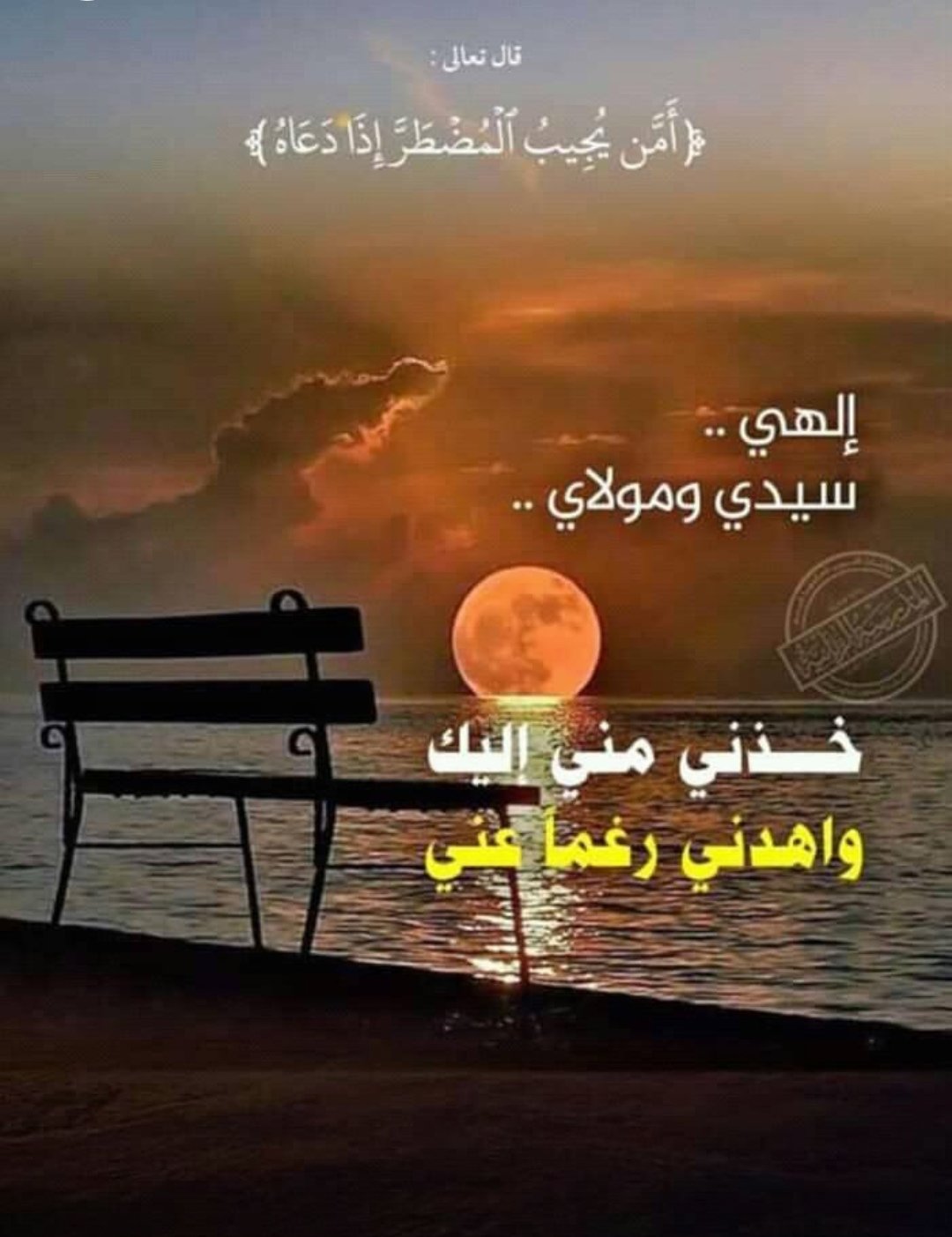 fwzDAl33miSifc5's profile picture. 