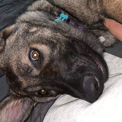 melroby37's profile picture. My bio :)