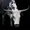 Ed Schroeder Photo - @edpics - Twitter