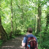 NilsRunge (@rungenils) 's Twitter Profile