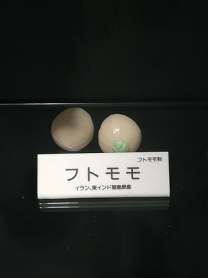 iAoMyyZiscRd66W's profile picture. 名古屋のはしっこで、家庭菜園中。