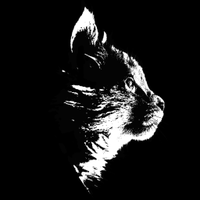 Maki Game Studio (@makigamestudio) 's Twitter Profile