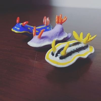 マラソン/水族館/ハンドメイド/謎解き/海/シャチ/ウミウシ/ジンベエザメもっと毎日に刺激が欲しい！