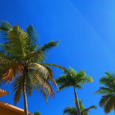 ptourout8's profile picture. 