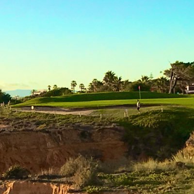 sjtgbanks's profile picture. 