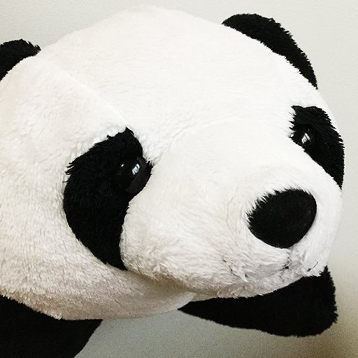 在独邦人です🐼