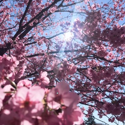 5stAYgoPL6Tagzr's profile picture. 