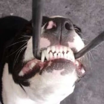 AlexG0dsp3ed's profile picture. 