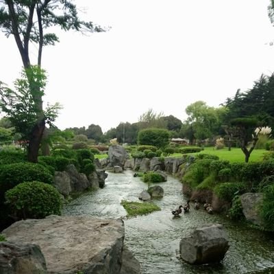 pattymey80's profile picture. Soñar es gratis