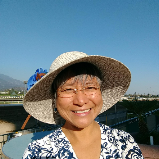 racing fan (have visited 45 racetracks in 13 countries), animal welfare advocate, civil engineering professor, UCLA PhD alumna