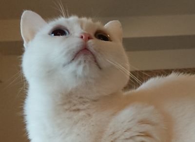 iikonyanko's profile picture. 中年再婚の主婦。老後は穏やかに暮らしたかったのに。 夫や義家族の愚痴が多いかと。