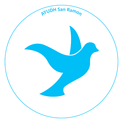 AYUDH_'s profile picture. Inspired by the world renowned humanitarian, Amma (@Amritanandamayi), AYUDH Bay Area meets every week to work on activities for sustainability & social good.