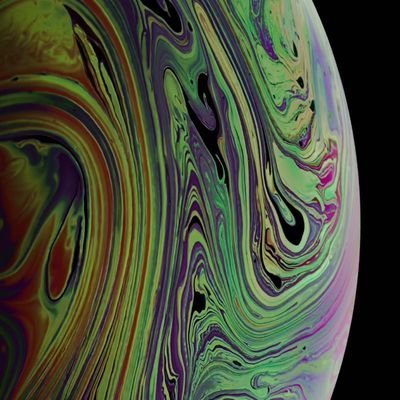 paz_ornelas's profile picture. Kevin