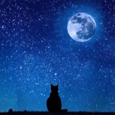 🐱3年目。星猫って呼んで下さい〜！無言フォロー失礼します。無言フォロー大歓迎です！のんびり気まぐれフォロバします。#読書好きと繋がりたい #星猫の本棚 縮小垢→月守る猫(@moonwatchingcat) リンクからインスタに飛びます