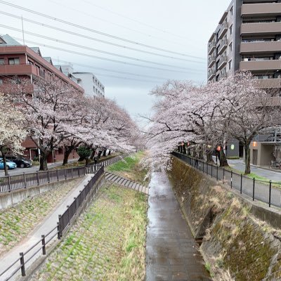 心理学学んでます