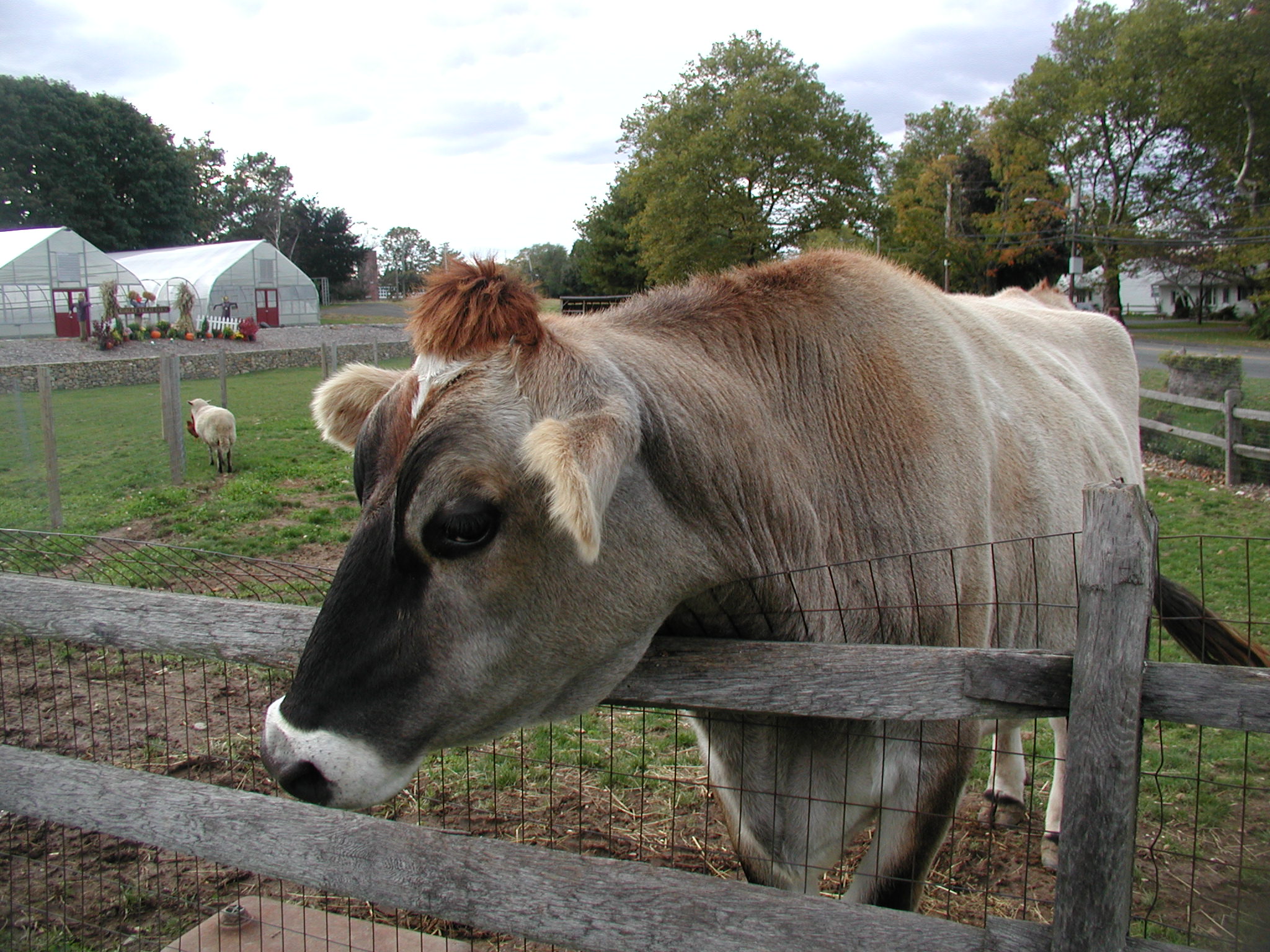 sandboxfun's profile picture. Once found a needle in a haystack.