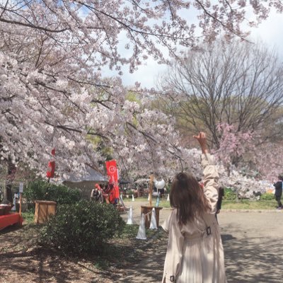 魔法使いサリ(∩^o^)⊃━⭐️゜.*🌸さんのプロフィール画像