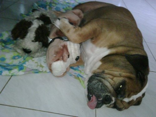 jjsamson26's profile picture. 