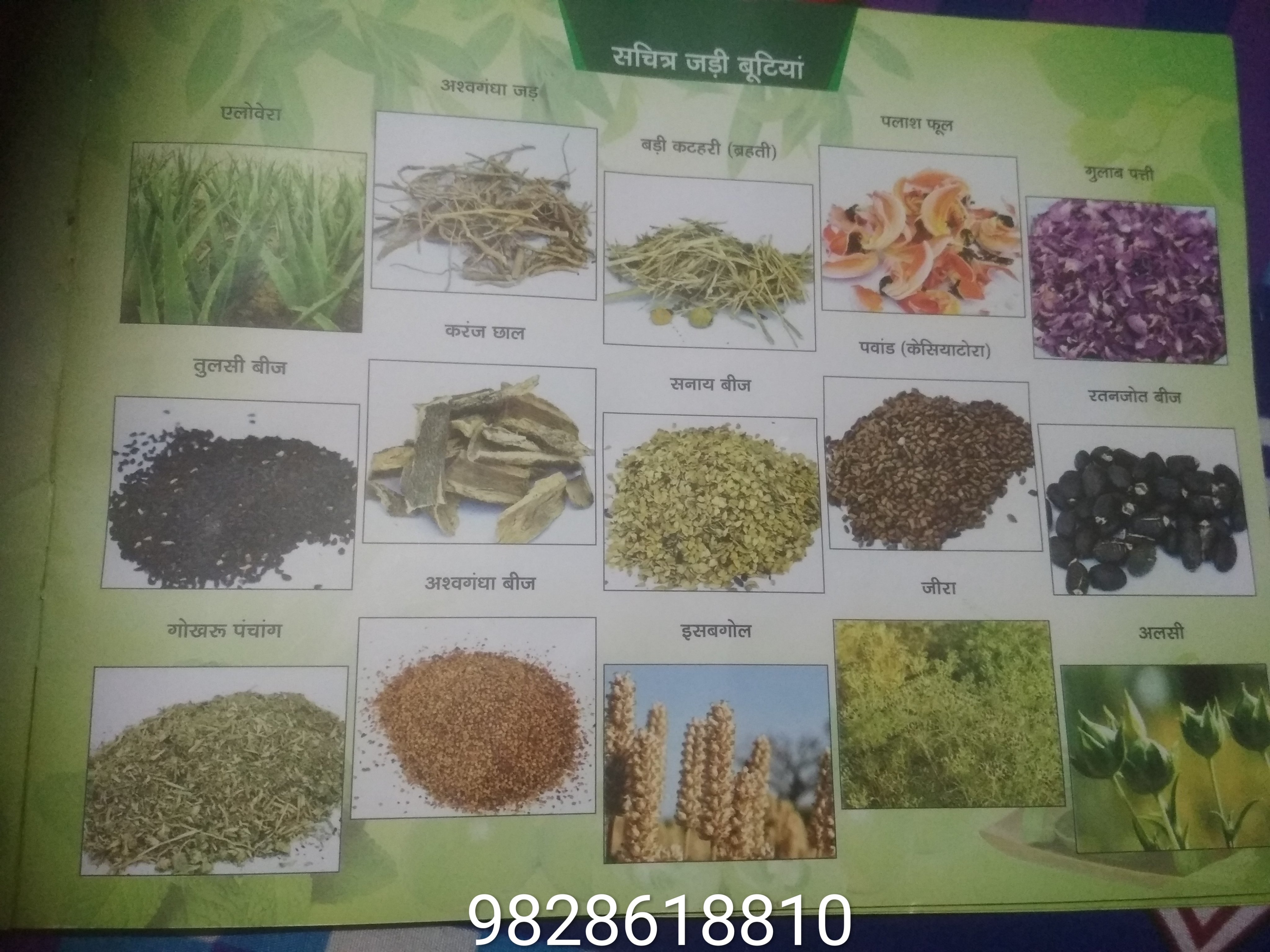 Medicinal plants farming, spices & honey +919828618810