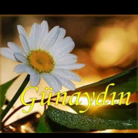 volkan    volkan sanal zevk (@yalarvolkan) Twitter profile photo