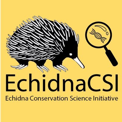 #EchidnaCSI is a #CitizenScience project where YOU can help us understand more about echidnas by submitting your echidna sightings and sending us their scats 🦔💩